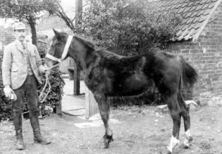 James Newton at Crown Farm with Tommy the horse James Newton at Crown Farm with Tommy the horse | Private collection