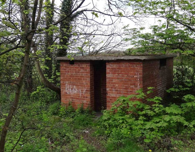 Mystery Building in Forest Town Forest Town (Miscellaneous