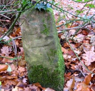 An Edwinstowe boundary stone near Post C An Edwinstowe boundary stone near Post C