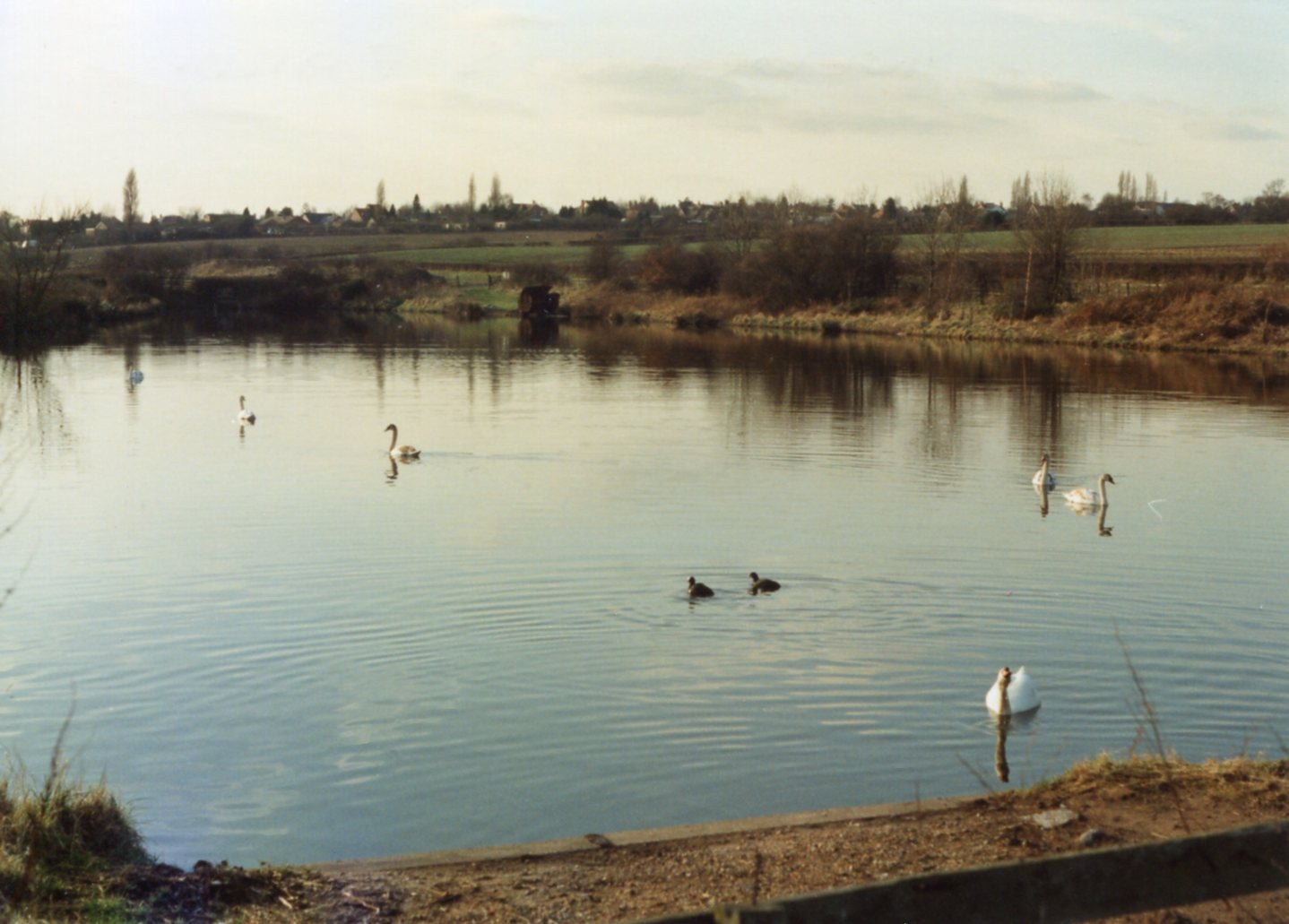 Newlands Farm Agriculture, Forest Town (Miscellaneous) Our