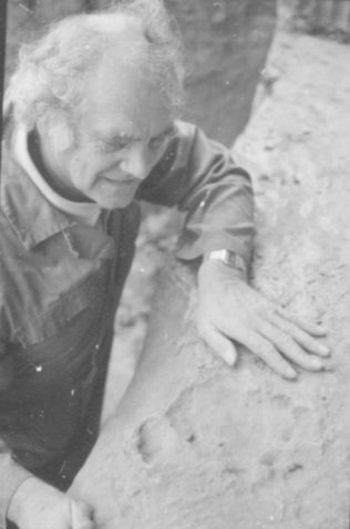 The Dinosaur Footprints Found In Mansfield The Dinosaur Footprints Found In Mansfield