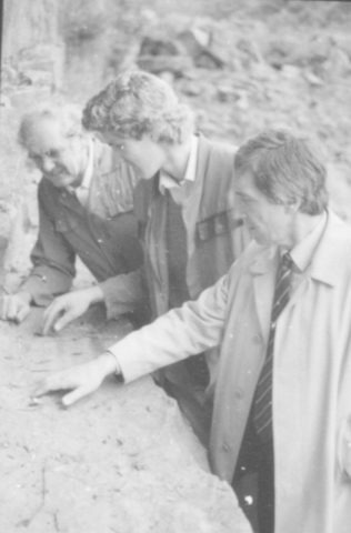 The Dinosaur Footprints Found In Mansfield The Dinosaur Footprints Found In Mansfield