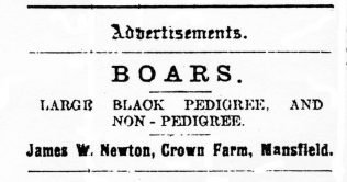 Newspaper advert (undated) showing some of James Newton's stock | Private collection