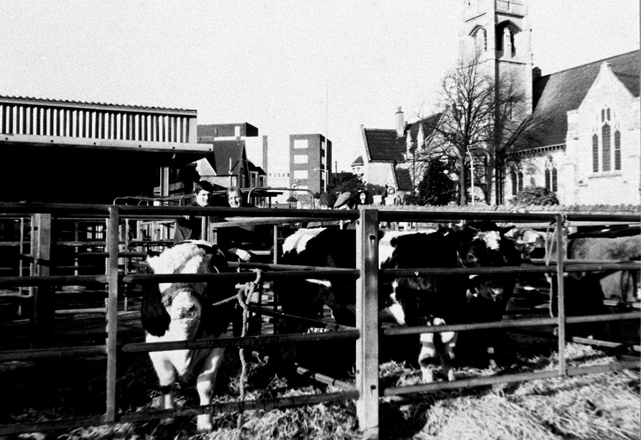 Livestock Shops and Retail, Agriculture, Mansfield (Miscellaneous