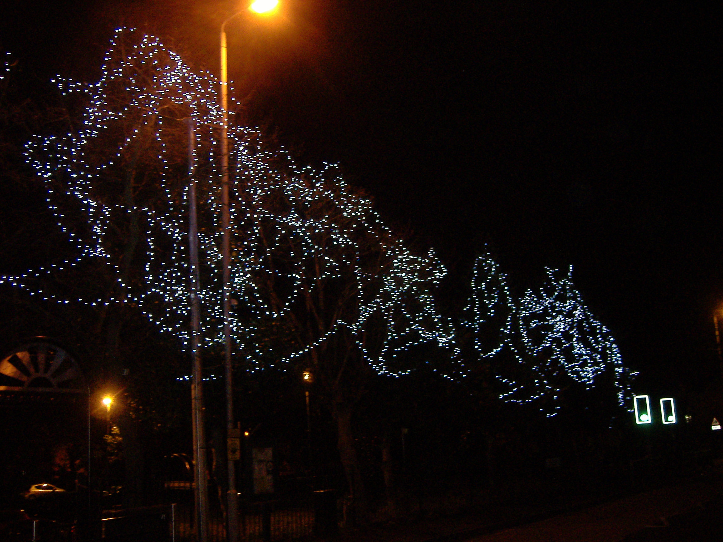 Forest Town Christmas Lights Public Services, Traditions / Customs, Forest Town (Miscellaneous